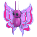 Orchid Butterfly